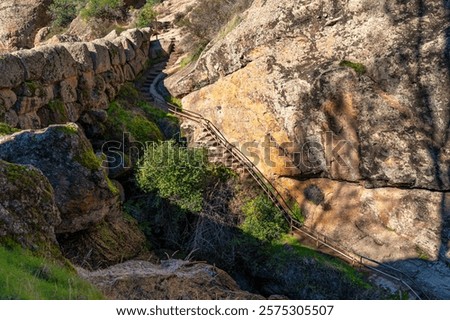 Similar – Foto Bild Treppen, nach oben Moos