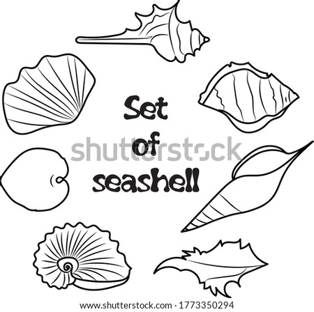 Set of seashells in black vector line. Seven different sea shells from the sea and ocean. Isolated on a white background. Vector images are suitable for web site, print and business card.