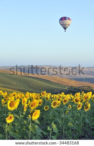 Hot-air balloon flying over field of sunflowers in tuscany, italy