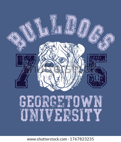 Vector illustration of stylized Bulldog with allusion to the university mascot.