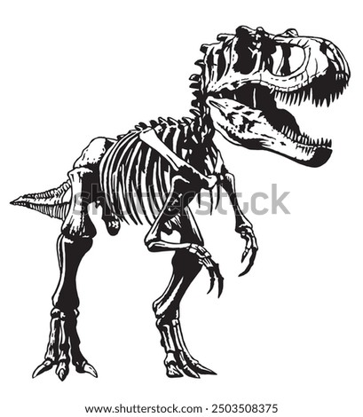 Hand drawn illustration of a Tyrannosaurus Rex skeleton. Editable art.