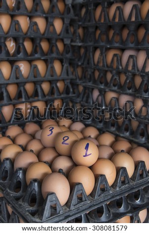sort out/choose/ select with number from sizing, fresh chicken egg in the plastic package from chicken farm/, thailand
