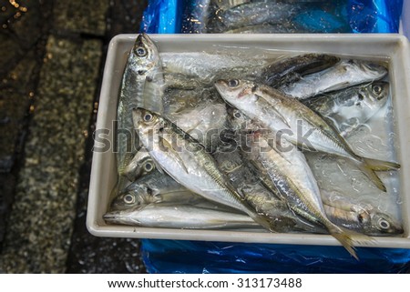 Fresh sea fishes in boxes in fish market, tokyo, japan