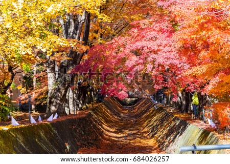 Shutterstock Puzzlepix Shutterstock Puzzlepix