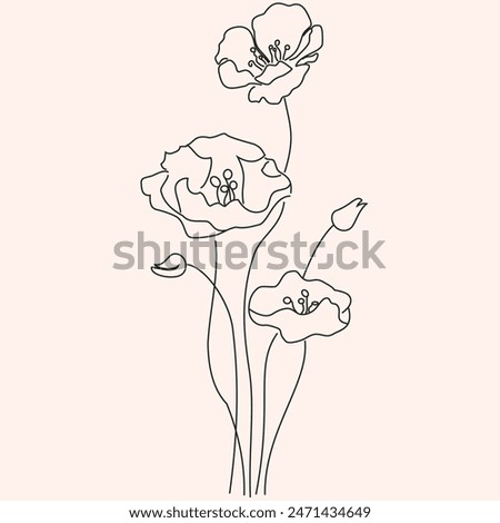 Similar – Image, Stock Photo poppy Poppy Poppy blossom