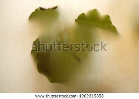Similar – Image, Stock Photo Sunset behind the curtain in the caravan