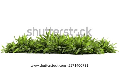 Similar – Image, Stock Photo Beautiful monstera plant for home decoration. Tropical plants in indoor floriculture. Close-up.