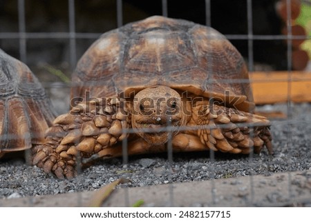 Foto Bild Hinter Gittern