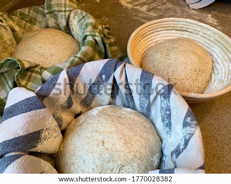 Similar – Foto Bild Drei Sauerteigbrötchen flachgelegt mit Mohn und Sesam auf einer Serviette auf einem Holzhocker