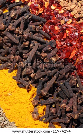 Macro of lines of curry spices (from bottom left, cumin seeds, turmeric, cloves, crushed chillies and fenugreek seeds.