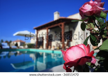 Roses blooming in the garden of a luxury villa in Prines, Crete, Greece, which is used for summer holiday lets.