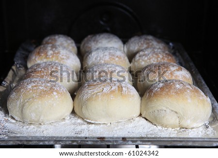 A tray of home-baked baps or Scottish morning rolls in the oven