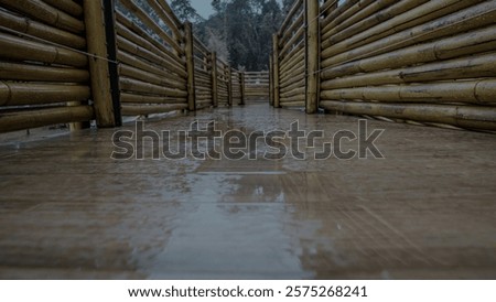 Similar – Image, Stock Photo Reflection in a rainwater barrel