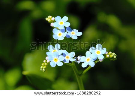 Shutterstock Puzzlepix