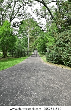 Similar – Image, Stock Photo Summery street from the frog’s eye view. On the horizon trees in sunlight and blue sky with a few clouds.