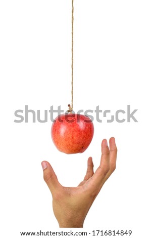 Hand reach to grab the hanging apple isolated on white background. Low hanging fruit concept. Clipping path. 商業照片 © 