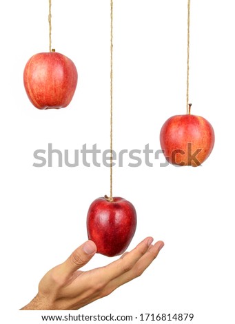 Hand reach to grab the hanging apple isolated on white background. Low hanging fruit concept. Clipping path. 商業照片 © 