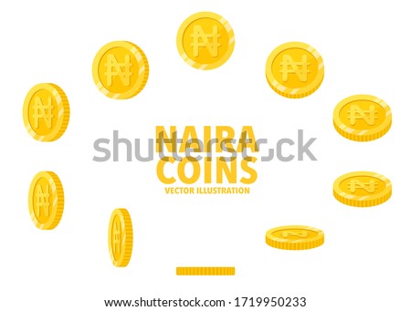 Nigeria Naira sign gold coin isolated on white background, set of flat icon of coin with symbol at different angles.
