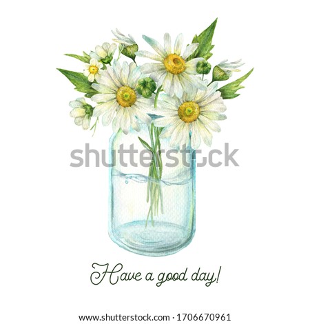 Flowers watercolor painting, glass jar with chamomile and leaves, floral clip art for greeting card, invitation, poster, wedding decoration and other images. Illustration isolated on white.