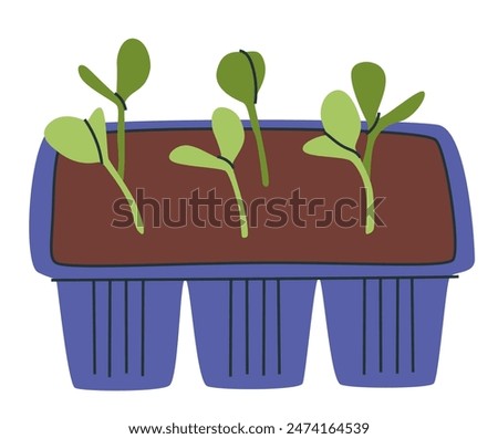 Microgreens with biomarker in container. Micro greens with plant label. Green sprouts and seedlings in planter. Flat vector illustration isolated on white