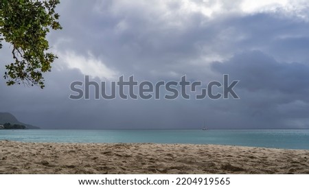 Cloudy day on a tropical beach. Clouds over a turquoise calm ocean. Footprints in the sand. A green tree branch against the sky. Seychelles. Mahe Island. Beau Vallon Photo stock © 