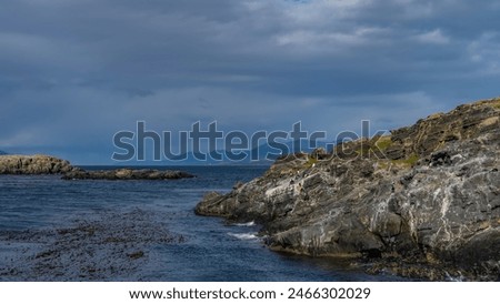 Similar – Image, Stock Photo petrel Landscape Water Sky