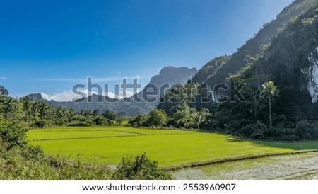 Similar – Image, Stock Photo Mountains and plantations against endless ocean in countryside