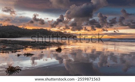 Similar – Image, Stock Photo Sandy seashore near hill with houses under cloudy sky