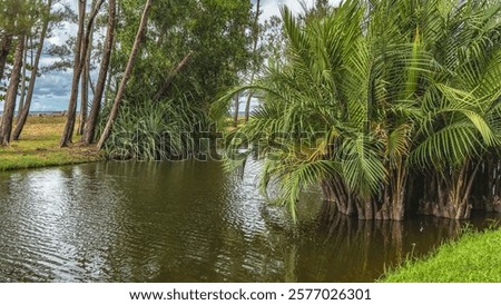 Similar – Image, Stock Photo Rippled ocean near green mountain with walkway under sky