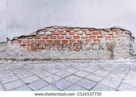 Similar – Image, Stock Photo Orange peels on cobblestones