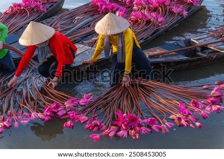 Similar – Image, Stock Photo Landscape on delta of river Evros, Greece