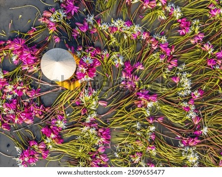 Similar – Image, Stock Photo Landscape on delta of river Evros, Greece