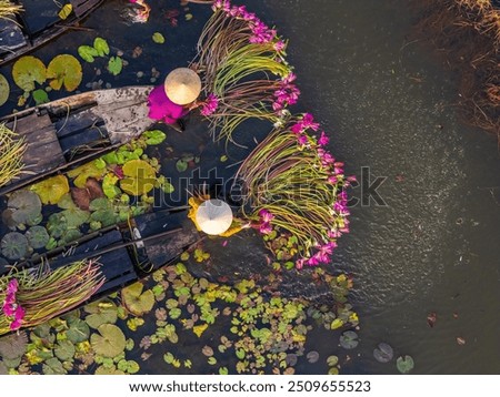 Similar – Image, Stock Photo Landscape on delta of river Evros, Greece