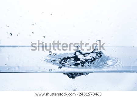 Similar – Image, Stock Photo Water drops bouncing off a lupine leaf