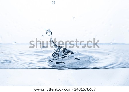 Similar – Image, Stock Photo Water drops bouncing off a lupine leaf