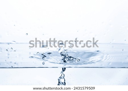 Similar – Image, Stock Photo Water drops bouncing off a lupine leaf