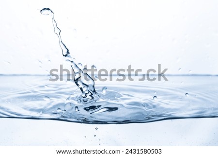 Similar – Image, Stock Photo Water drops bouncing off a lupine leaf