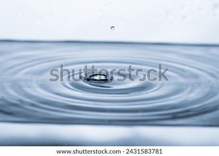 Similar – Image, Stock Photo Water drops bouncing off a lupine leaf