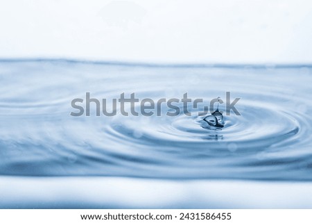 Similar – Image, Stock Photo Water drops bouncing off a lupine leaf