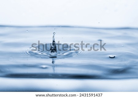 Similar – Image, Stock Photo Water drops bouncing off a lupine leaf