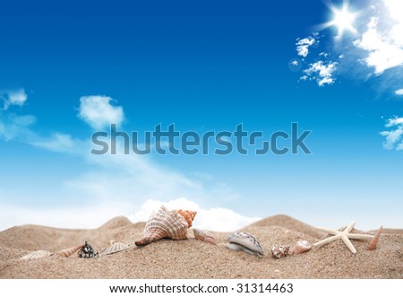 Nice picture with sea sand, blue sky and sun