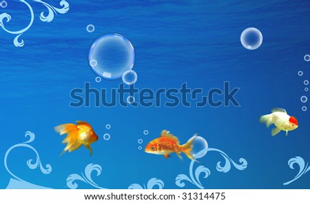 Nice underwater life with nice three fishes