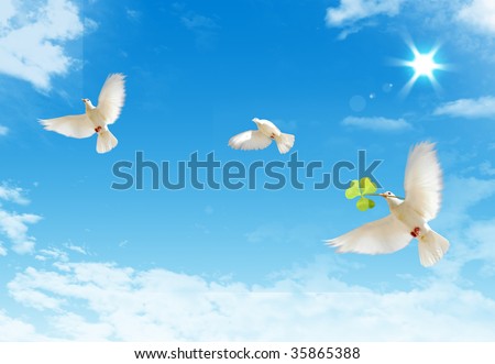 Three free flying white doves with on a blue sky background.
