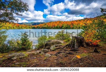 Autumn forest lake landscape. Lake in autumn forest. Autumn forest lake view. Forest lake in autumn