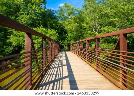 Similar – Image, Stock Photo foliage Footbridge