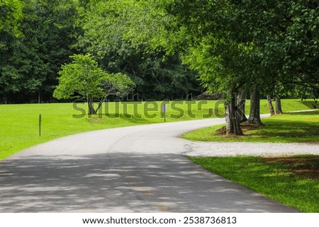 Similar – Image, Stock Photo Pathway road in green forest landscape