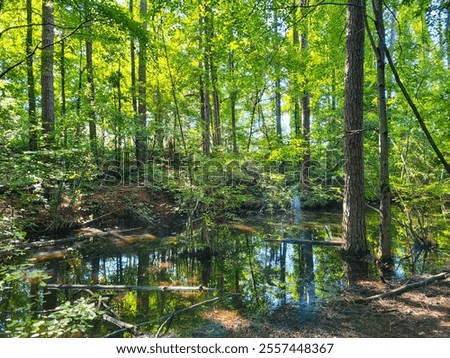 Similar – Image, Stock Photo Rippling lake surrounded by rocky mountains against cloudy blue sky