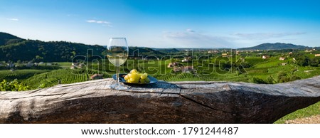 Wineglass With Grapes on a Wood Table, Italian Wine, Glass of White Wine 