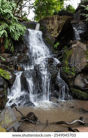 Similar – Image, Stock Photo Nature trail in a wetland area