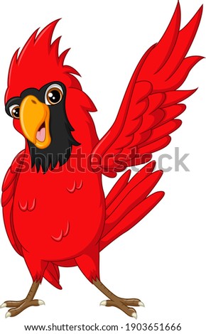 Cartoon happy cardinal bird on white background